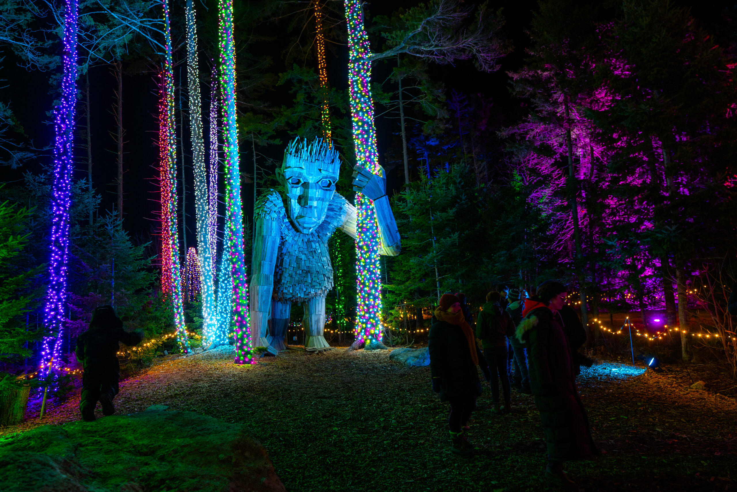 Botanical Gardens Aglow